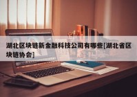 湖北区块链新金融科技公司有哪些[湖北省区块链协会]