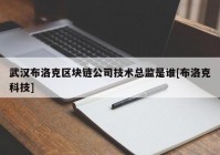 武汉布洛克区块链公司技术总监是谁[布洛克科技]